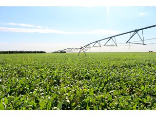 Tract 3 - Edwards County, KS farmland - LAND AUCTION - 647+/- ACRES OFFERED IN 4 TRACTS IN RENO & EDWARDS COUNTY, KANSAS